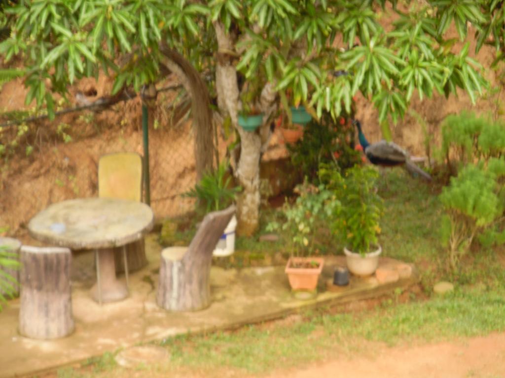 Mount View Villa Resort Mirissa Exterior photo